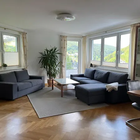 Apartment Bergpanorama - Willingen *