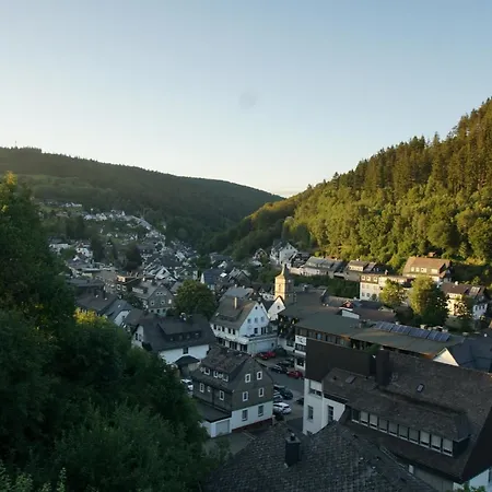 Bergpanorama - Appartamento Willingen (Upland)