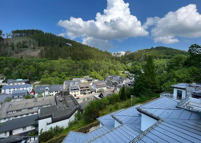 Bergpanorama - * Willingen (Upland)